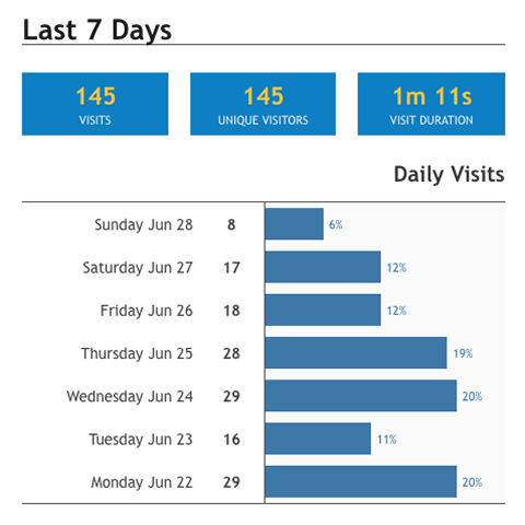 Branded analytics report showing weekly visit analytics